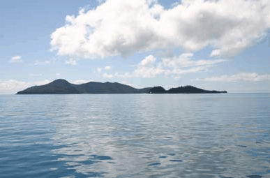 Whitehaven Xpress Whitehaven Beach Tours - Tourism Caloundra 2