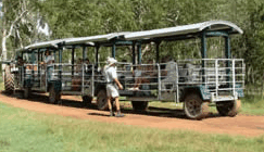 Whitsunday Crocodile Safari - Tourism Caloundra 2
