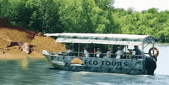Whitsunday Crocodile Safari - Tourism Caloundra 3