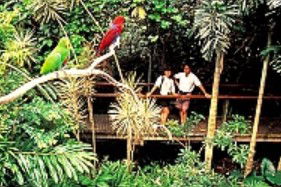 Reef And Rainforest Connections - Tourism Caloundra 4
