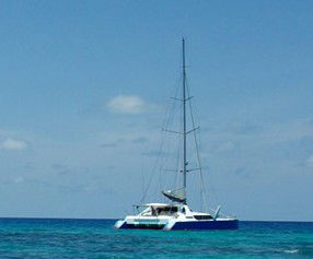 Synergy Reef Sailing - Tourism Caloundra 5