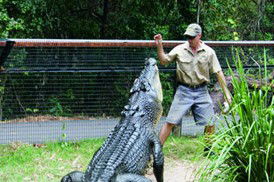 Tropical Horizons Tours - Tourism Caloundra 4