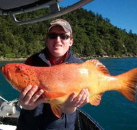 Gone Fishing by Coral Sea Fishing Charters Airlie Beach - Tourism Caloundra