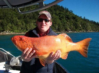 Gone Fishing By Coral Sea Fishing Charters Airlie Beach - Tourism Caloundra 0