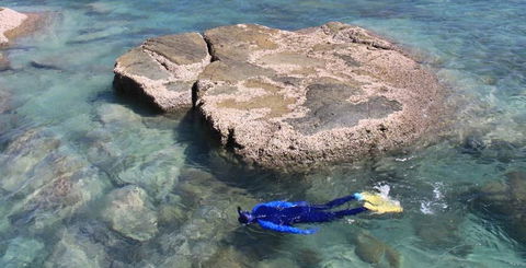 Salty Dog Sea Kayaking - Tourism Caloundra 6