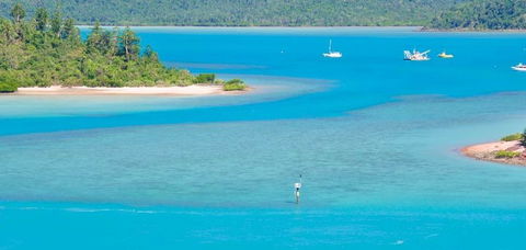 Salty Dog Sea Kayaking - Tourism Caloundra 10