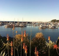 Mantaray Charters - Tourism Caloundra