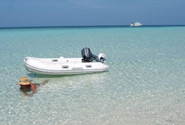 Adrenalin Snorkel And Dive - Tourism Caloundra 4
