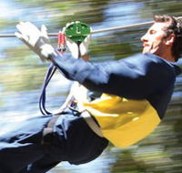 Adventure Parc - Tourism Caloundra