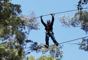 Adventure Parc - Tourism Caloundra 2