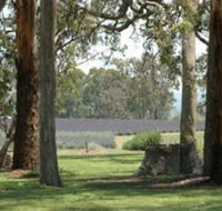 Aloomba Lavender - Tourism Caloundra