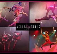 Aerial Angels - Tourism Caloundra