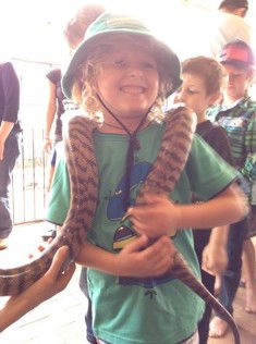 West Oz Wildlife Petting Zoos - Tourism Caloundra 3