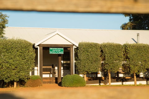 Vasse Virgin - Tourism Caloundra 2