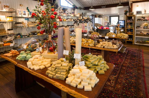 Vasse Virgin - Tourism Caloundra 3