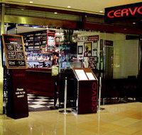 Cervo - Tourism Caloundra