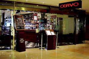 Cervo - Tourism Caloundra 0