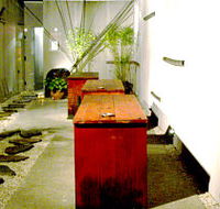 Koi - Tourism Caloundra