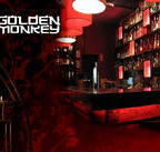 Golden Monkey - Tourism Caloundra