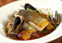 Hotel Max - Tourism Caloundra 1