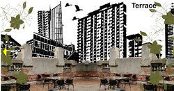 The Order - Tourism Caloundra 1