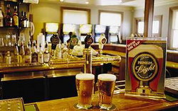 Regatta Bar - Log Cabin - Tourism Caloundra 1