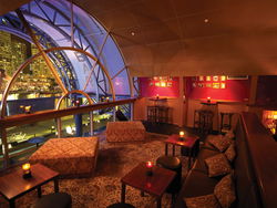 Cohibar - Tourism Caloundra 1
