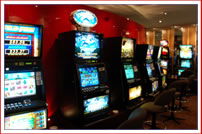 Lucky Star Tavern - Tourism Caloundra 2