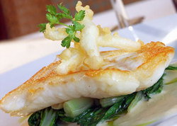 Captain Cook Tavern - Tourism Caloundra 2