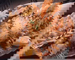 Doyles Bridge Hotel - Tourism Caloundra 3