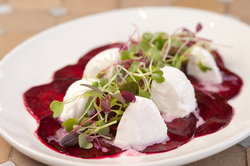 Bouzy Rouge - Tourism Caloundra 3