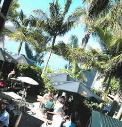 Duck & Swan Hotel - Tourism Caloundra 3