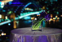 Summit - Orbit Lounge Bar - Tourism Caloundra 3