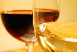Rrose Bar - Tourism Caloundra 3
