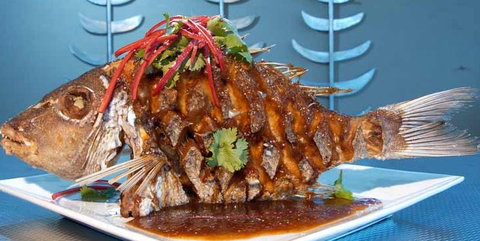 Fish On Parkyn - Tourism Caloundra 5