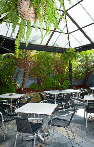 Kuzina - Tourism Caloundra 4