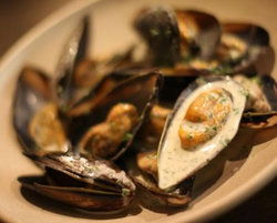 MoVida Next Door - Tourism Caloundra 0