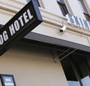 Skinny Dog Hotel - Tourism Caloundra