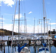 Oyster Cove Inn - Tourism Caloundra