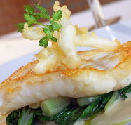 Brighton Metro Hotel - Tourism Caloundra