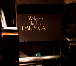 Paris Cat - Tourism Caloundra 1