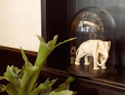 Greenwich Hotel - Tourism Caloundra 2