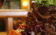 The Wiseman Inn - thumb 3