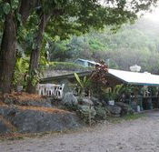 Ellis Beach Bar  Grill - Tourism Caloundra