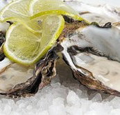 Platform Restaurant and Bar - Tourism Caloundra