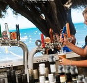 Quokka Arms - Tourism Caloundra