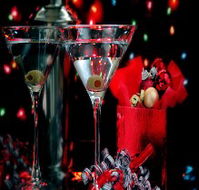 Niche Bar and Lounge - Tourism Caloundra