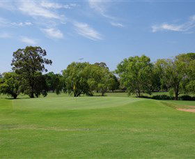 Singleton Golf Club - Tourism Caloundra 1