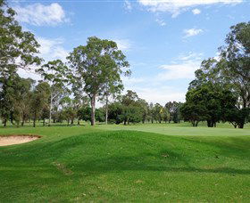 Dyrring NSW Tourism Caloundra