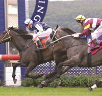 Gosford Race Club - Tourism Caloundra